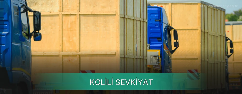 Erzincan Kolili Sevkiyat Ambar Firmaları