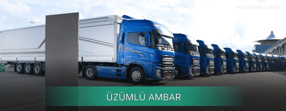 Üzümlü Ambar Kargo