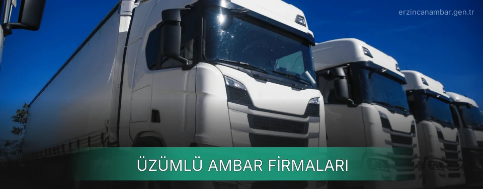 Üzümlü Ambar Taşımacılık